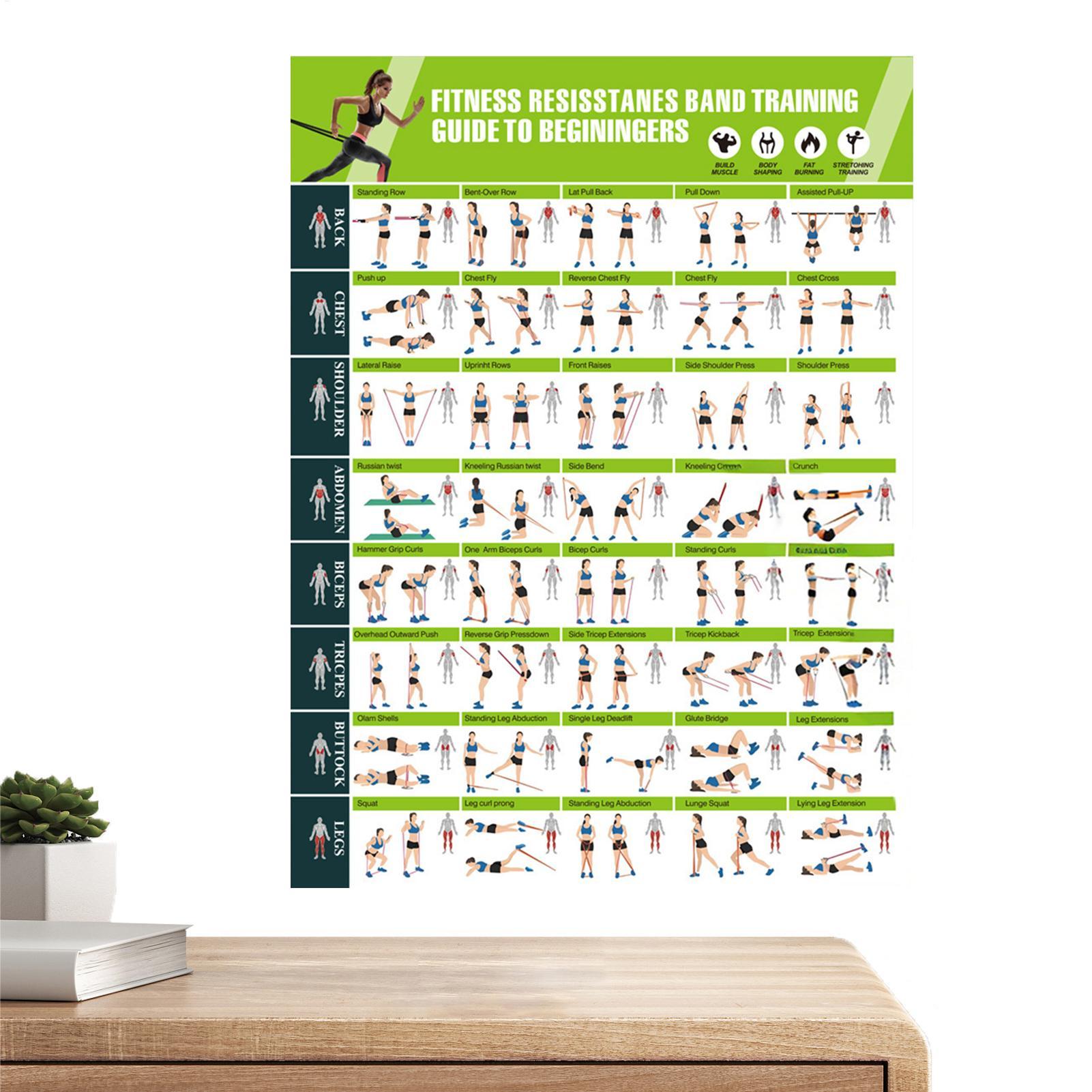 Exercise Posters Resistance Ba - Women Accessories Poster ulasan dan harga