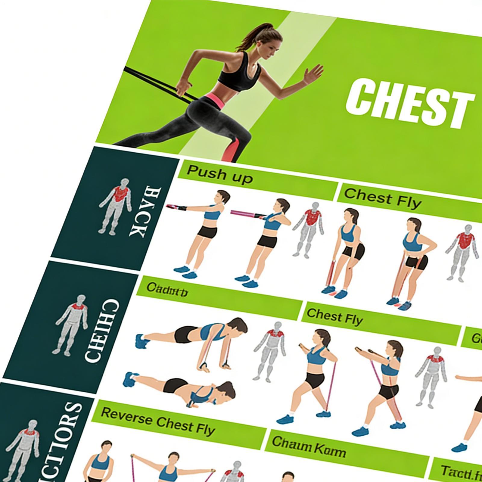 Exercise Posters Resistance Ba - Women Accessories Poster ulasan dan harga
